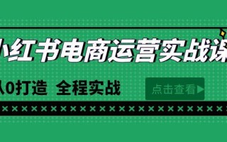 (9946期)最新小红书·电商运营实战课，从0打造 全程实战(65节视频课)