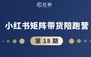 盗坤·抖音小红书视频号短视频带货与直播变现(11-18期)