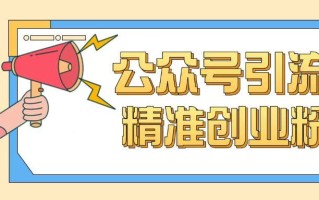 公众号引流创业粉玩法，0基础即可轻松掌握流量