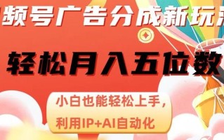 视频号广告分成新玩法，小白也能轻松上手，利用IP+AI自动化，轻松月入五位数【揭秘】