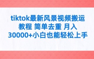 tiktok最新风景视频搬运教程 简单去重 月入3W+小白也能轻松上手【揭秘】