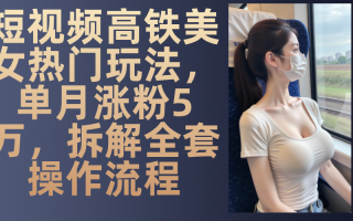 最新爆款短视频高铁美女玩法，一周涨粉5万+，每天稳定变现1000+实战教程