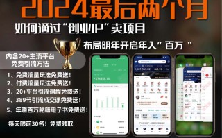 2024最后两个月如何通过”创业IP“卖项目年入”百万“,创业IP+最强引流…