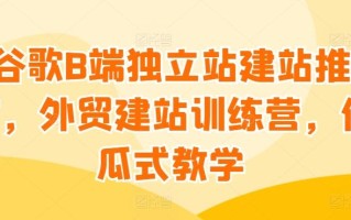 谷歌B端独立站建站推广，外贸建站训练营，傻瓜式教学