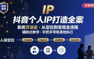 抖音个人IP系统落地实操大课，实操课程，辅助落地