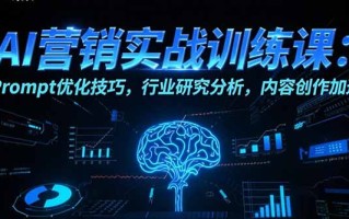 AI营销实战训练课：Prompt优化技巧，行业研究分析，内容创作加速