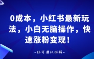 0成本，小红书最新玩法，小白无脑操作，快速涨粉变现