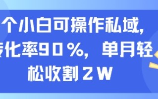 一个小白可操作私域，转化率90%，单月轻松收割2W