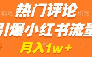 热门评论引爆小红书流量，作品制作简单，商单接到手软【揭秘】