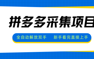 拼多多采集项目，全自动解放双手，单号日入30+