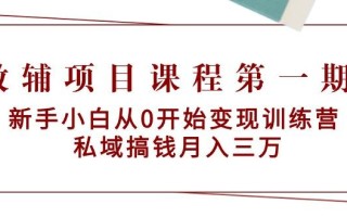 教辅项目课程第一期：新手小白从0开始变现训练营 私域搞钱月入三万