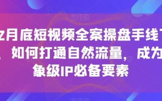12月底短视频全案操盘手线下课，如何打通自然流量，成为想象级IP必备要素