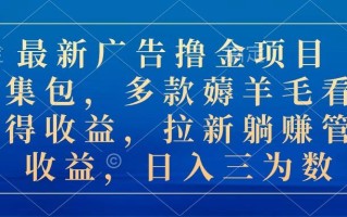 最新广告撸金项目合集包，多款薅羊毛看广告收益 拉新管道收益，日入三为数