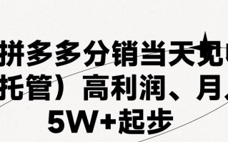 最新拼多多模式日入4K+两天销量过百单，无学费、 老运营代操作、小白福利，了解不吃亏