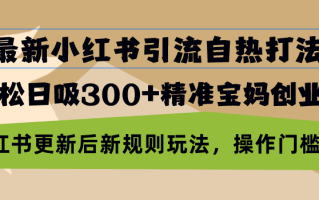 最新小红书引流自热打法，轻松日吸300+精准宝妈创业粉，小红书更新后新…