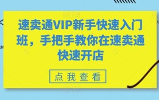 速卖通VIP新手快速入门班，手把手教你在速卖通快速开店