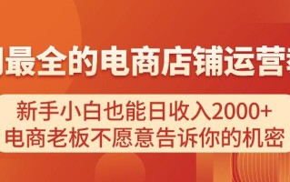 电商店铺运营教学，新手小白也能日收入2000+，电商老板不愿意告诉你的机密