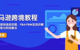 亚马逊跨境教程，店铺注册到选品攻略，FBA/FBM发货讲解，把握风险与利润