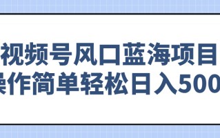 视频号风口蓝海项目，操作简单轻松日入500+