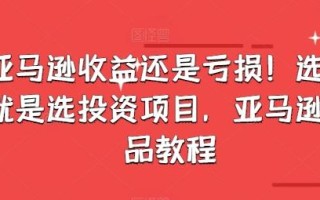 亚马逊收益还是亏损！选品就是选投资项目，亚马逊选品教程