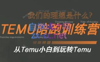 苗苗·拼多多跨境（temu）课程