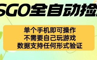 自动挂机捡漏，不用自己挂机不用玩游戏，一个手机即可操作。新手小白轻…