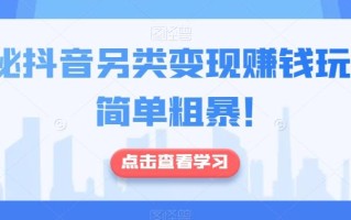 揭秘抖音另类变现赚钱玩法，简单粗暴！