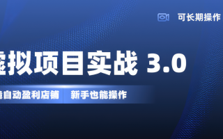 虚拟项目实操落地 3.0,新手轻松上手，单品月入1W+