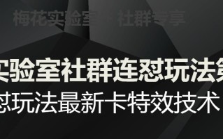 梅花实验室社群连怼玩法第五期，视频号连怼玩法最新卡特效技术