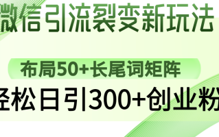 微信引流裂变新玩法：布局50+长尾词矩阵，轻松日引300+创业粉