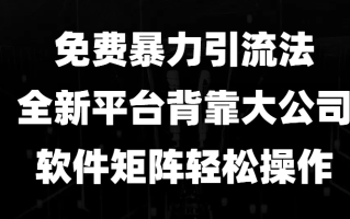 免费暴力引流法，全新平台，背靠大公司，软件矩阵轻松操作