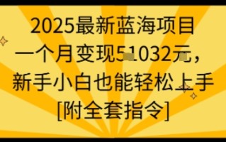 2025最新蓝海项目一个月变现1w+新手小白也能轻松上手【附全套指令】