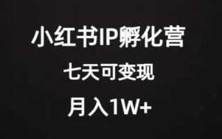 价值2000+的小红书IP孵化营项目，超级大蓝海，七天即可开始变现，稳定月入1W+