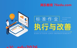 企业标准化作业执行与改善（6集） mp4高清无水印视频教程网盘免费下载
