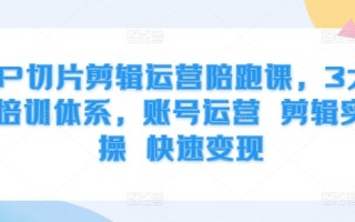 IP切片剪辑运营陪跑课，3大培训体系，账号运营 剪辑实操 快速变现