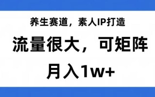 养生赛道，素人IP打造，流量很大，可矩阵，月入1w+【揭秘】