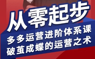 拼多多运营进阶系统课，从零起步，多多运营进阶体系课，破茧成蝶的运营之术(更新9月)