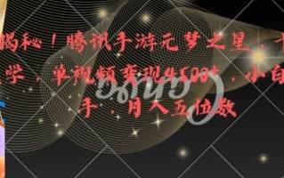 全网揭秘！腾讯手游元梦之星，十分钟顶尖教学，单视频变现4500+【揭秘】