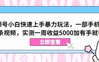视频号小白快速上手暴力玩法，一部手机，一条视频，实测一周收益5000加有手就行【揭秘】