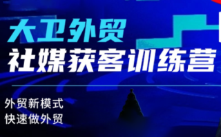 大卫老师·外贸社媒获客独家训练营(更新10月)