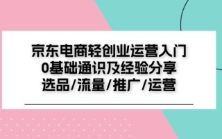 京东电商-轻创业运营入门0基础通识及经验分享：选品/流量/推广/运营
