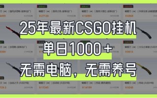 25年最新CSGO挂机系统，单日1000+，无需电脑，无需养号，0基础可上手