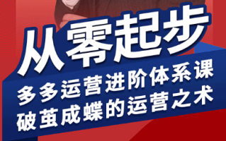 海神·拼多多运营进阶系统课(更新8月)