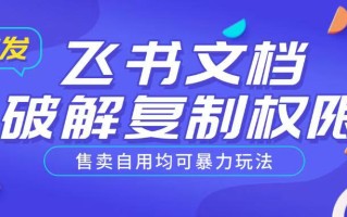 首发飞书文档破解复制权限，售卖自用均可暴力玩法