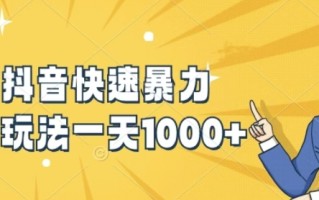 快手抖音快速暴力涨粉玩法，新手小白也能学会，一天1k+【揭秘】