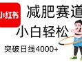 小红书减肥赛道，简单零成本，无需剪辑，不用动脑，小白轻松日利润4000+