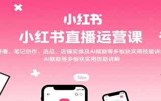 小红书直播运营课：开播、笔记创作、选品、店铺实操及 AI 赋能等多板块实用技能讲解