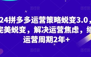2024拼多多运营策略蜕变3.0，0-1完美蜕变，解决运营焦虑，缩短运营周期2年+