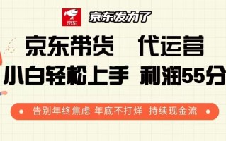 京东带货 代运营 利润55分 告别年终焦虑 年底不打烊 持续现金流