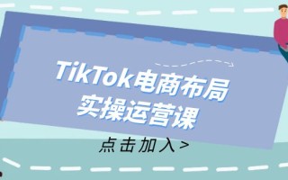 TikTok电商布局实操运营课：从新手到精通，成为TikTok带货运营高手